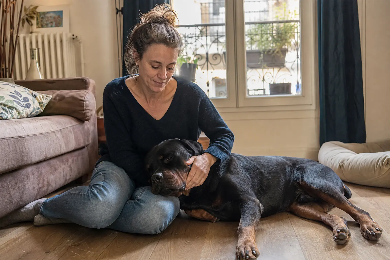Femme assise au sol dans son salon caressant son Rottweiler adulte couché contre elle