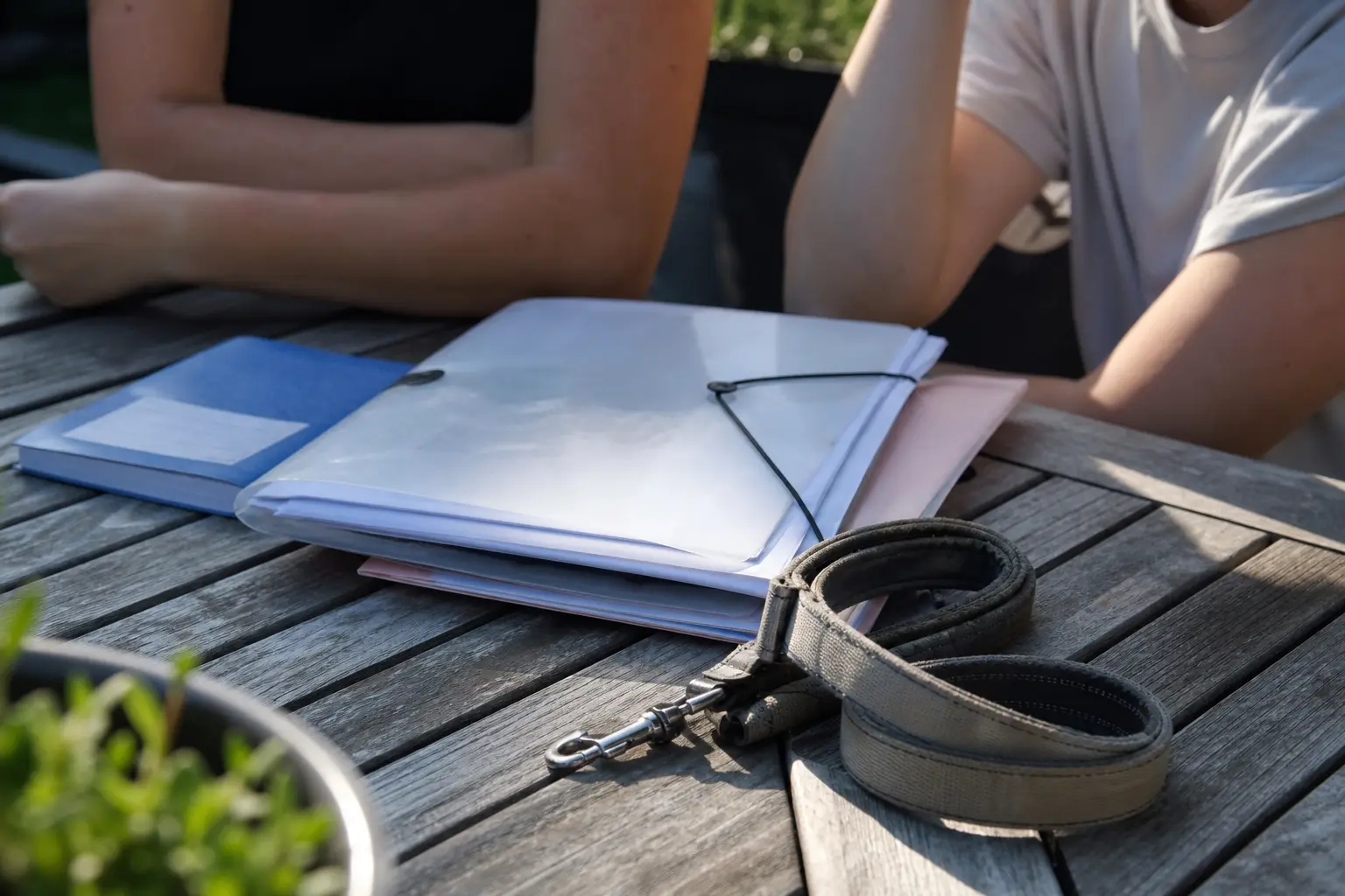 Un dossier de documents administratifs et un carnet de santé posés sur une table en bois, à côté d'une laisse enroulée, dans la lumière de fin d'après-midi