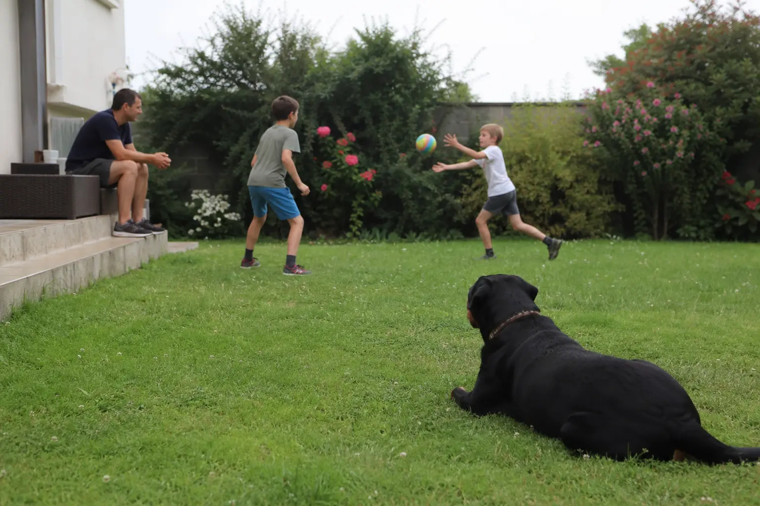 Deux enfants jouent au ballon dans un jardin pendant qu'un Rottweiler les observe couché dans l'herbe