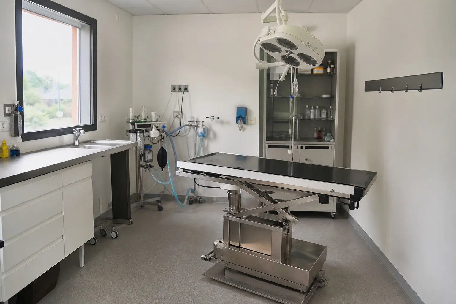 Un bloc opératoire vétérinaire vide, table en inox, éclairage chirurgical éteint et instruments rangés sur un plateau